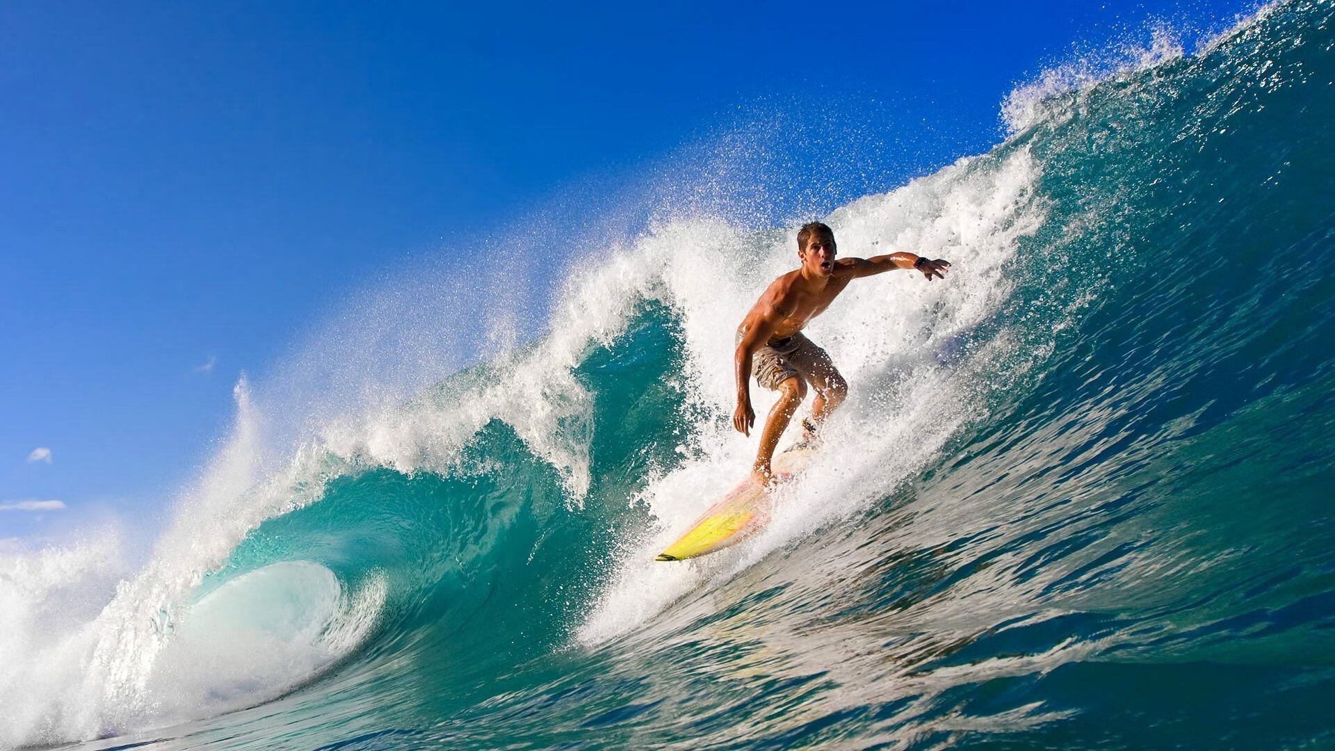 舞台之上,布克是唯一的太阳