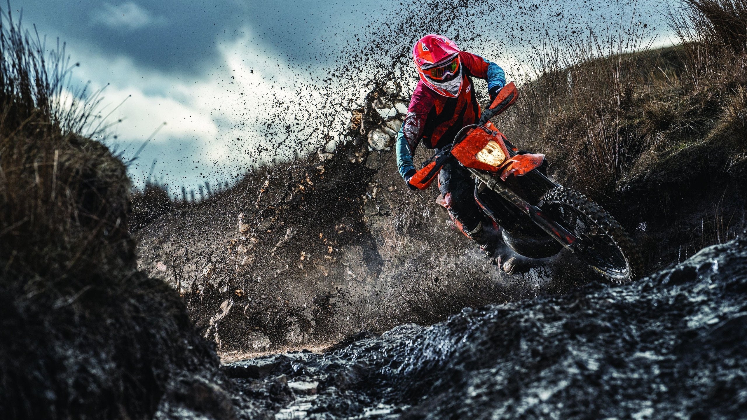 联合杯轻取温网,穆雷统治全场,定义网坛新秩序