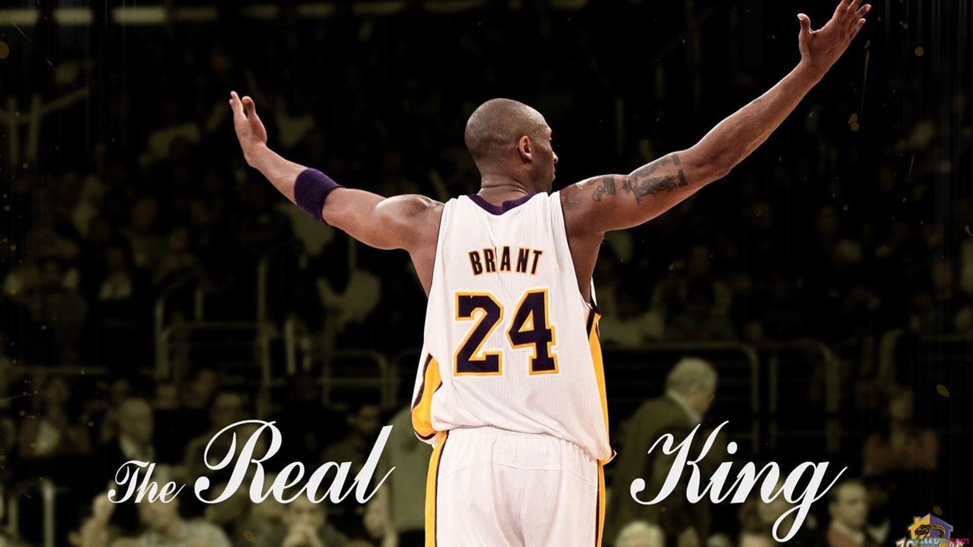 当橙色风暴褪色，乌克兰的铁蹄与坎特的上帝视角